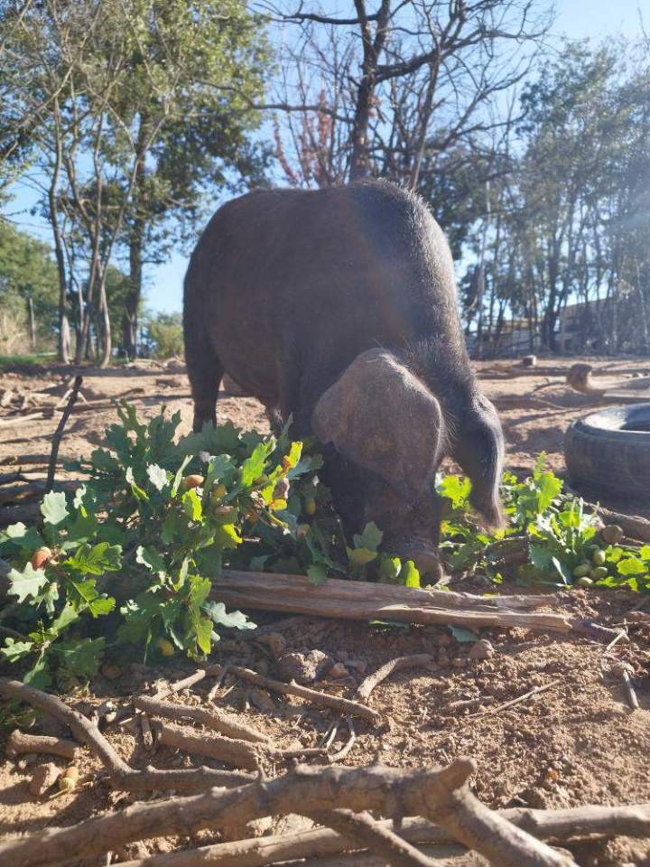 CC4C5798 BB89 4E4E 8096 47A2B7FA54C9