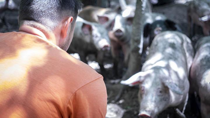 Producteur Vergongheon